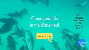 Wild Dolphin Swim Bahamas