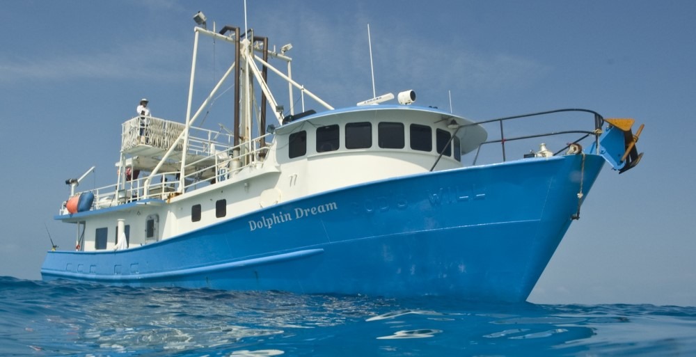 Dolphin Dream Boat to Bimini