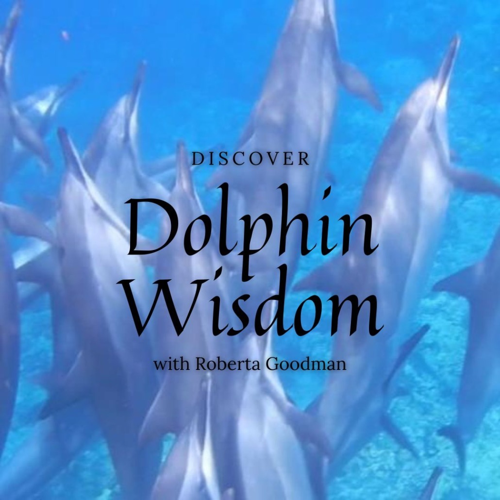 Dolphin Wisdom ebook with Robert Goodman