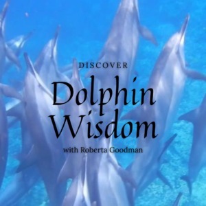 Dolphin Wisdom ebook with Robert Goodman