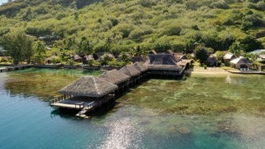 Stay in Moorea and Swim with Whales